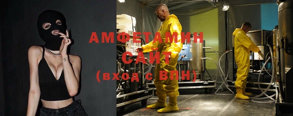 прущие грибы Мегион