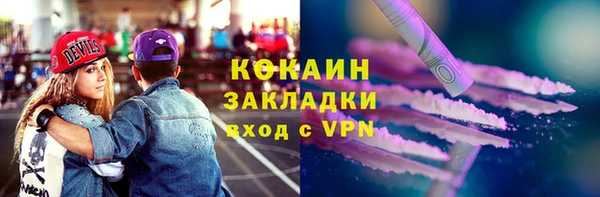 прущие грибы Мегион