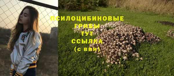 mdma Медногорск