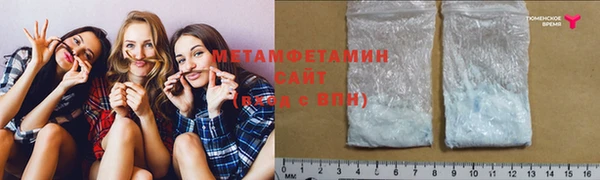 прущие грибы Мегион