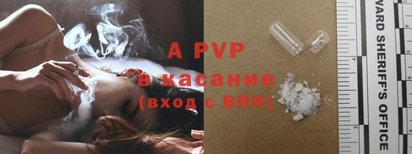 прущие грибы Мегион