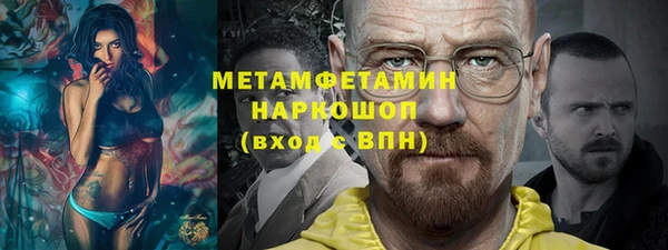 прущие грибы Мегион
