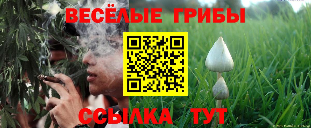 Галлюциногенные грибы MAGIC MUSHROOMS Донецк